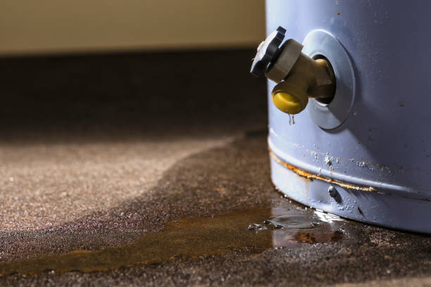 Best Professional water damage repair  in Ransom Canyon, TX