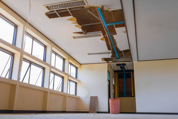 Best Ceiling water damage repair  in Ransom Canyon, TX