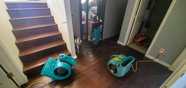 Best Ceiling water damage repair  in Ransom Canyon, TX