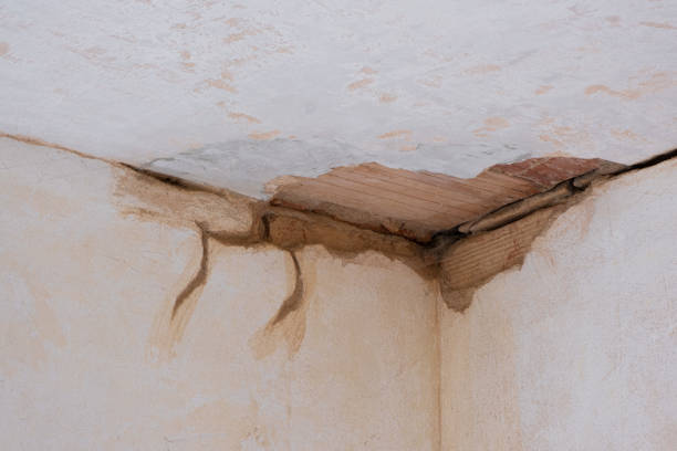 Best Mold removal after water damage  in Ransom Canyon, TX