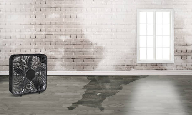 Best Water damage restoration experts  in Ransom Canyon, TX