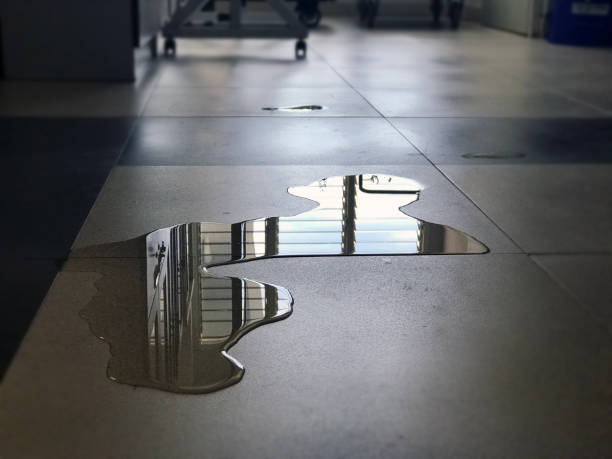 Best 24-hour water damage restoration  in Ransom Canyon, TX