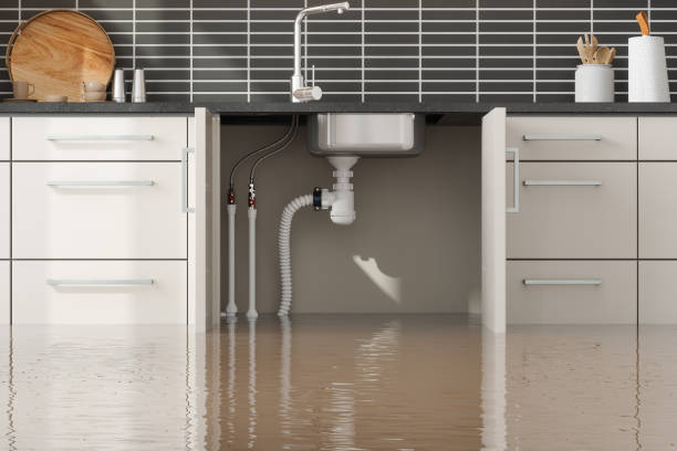 Best Residential water damage restoration  in Ransom Canyon, TX